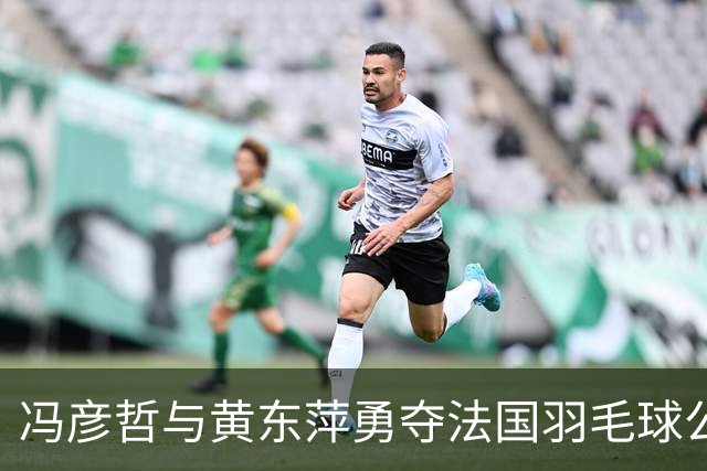 冯彦哲与黄东萍勇夺法国羽毛球公开赛混双桂冠